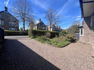 Picture 20